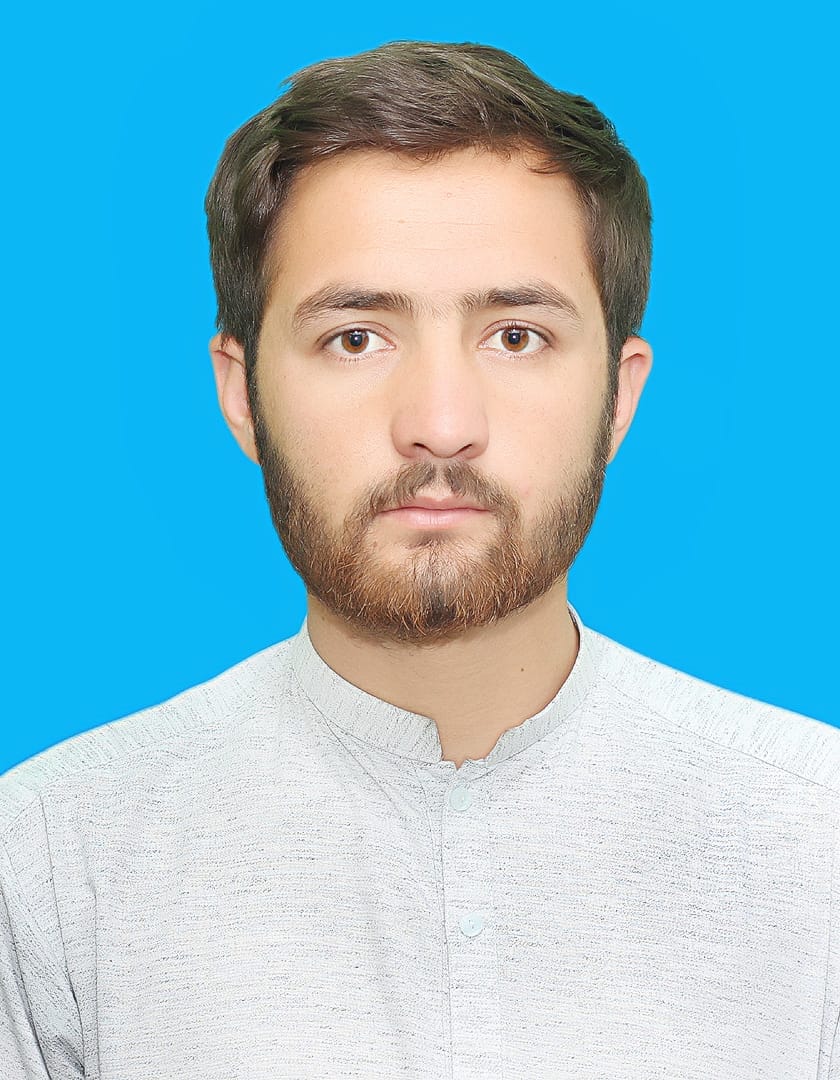 Sibtain Abbas - Digital Marketer